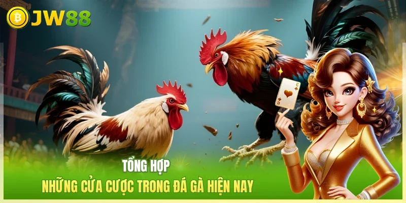 JW88 Đá gà cựa dao Tổng hợp những cửa cược trong đá gà hiện nay