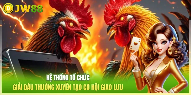 Hệ thống tổ chức giải đấu thường xuyên tạo cơ hội giao lưu