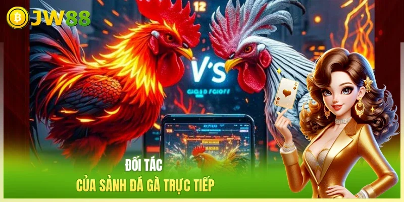 JW88 Đá Gà Trực Tiếp Đối tác của sảnh đá gà trực tiếp