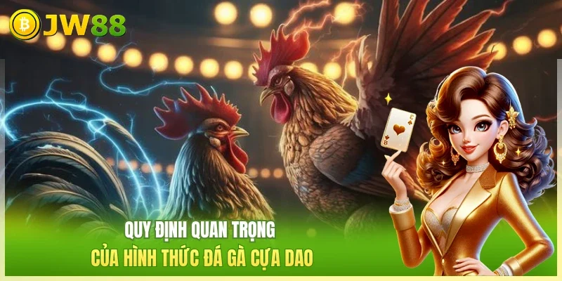 JW88 Đá gà cựa dao Quy định quan trọng của hình thức đá gà cựa dao