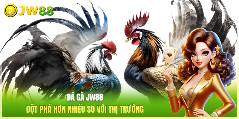 Đá gà JW88 đột phá hơn nhiều so với thị trường